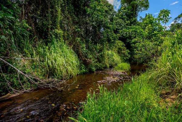 121 Ducrot Road, Upper Daradgee - Thumbnail 3