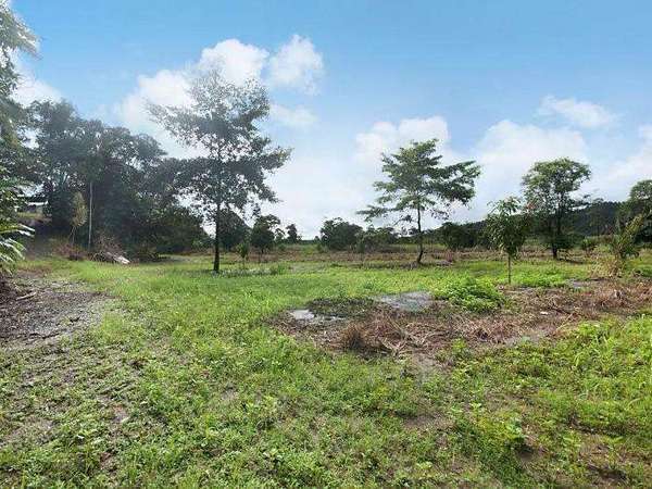 22 Josephine Falls, 22 Menzies Rd, Mirriwinni - Thumbnail 8