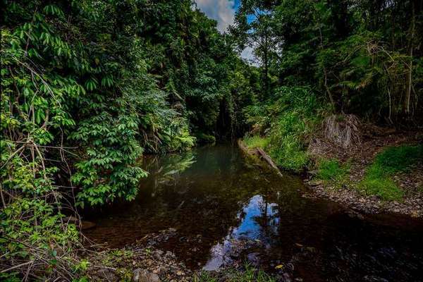 121 Ducrot Road, Upper Daradgee - Thumbnail 5