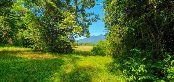 LOT 20 Barbagallo Road, Aloomba - Thumbnail 7