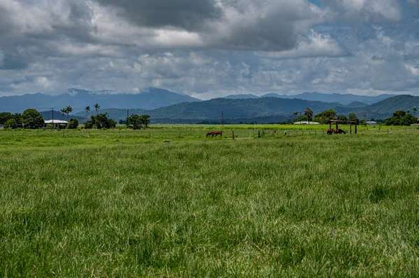 Lot 3/505 Mourilyan Harbour Road, Mourilyan Harbour - Thumbnail 7