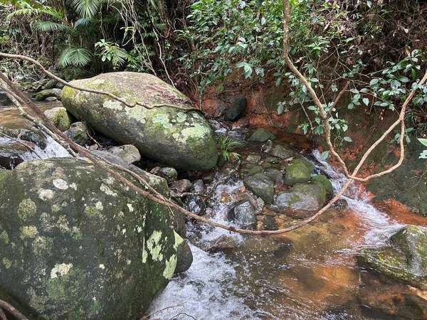 587 Barbagallo Road, Aloomba - Thumbnail 3