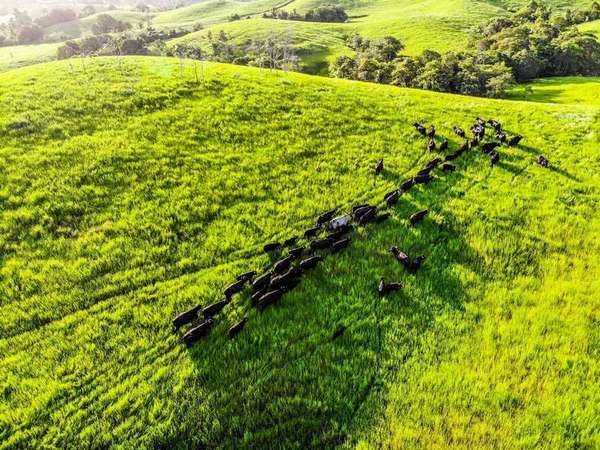118 Ducrot Road, Upper Daradgee - Thumbnail 2