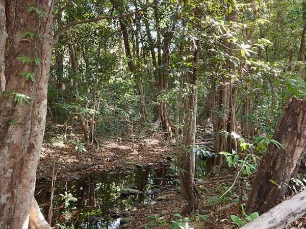 67-69 Vico Street, Gordonvale - Thumbnail 4