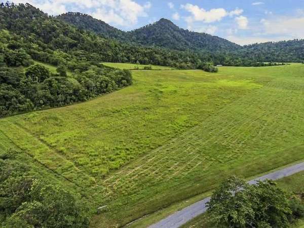 Lot 2 and Lot 3 Buttigieg Access, Babinda - Thumbnail 4