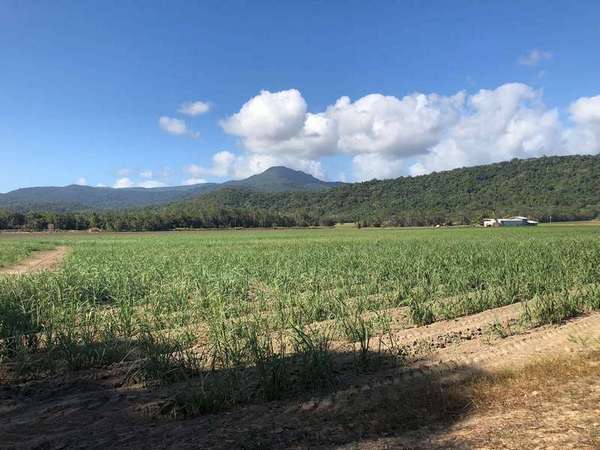 Lot 3 Pine Creek Yarrabah Road, Green Hill - Thumbnail 2