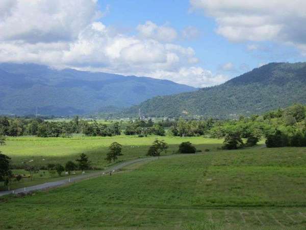 Lot 3 Buttigieg Access, Babinda - Thumbnail 8