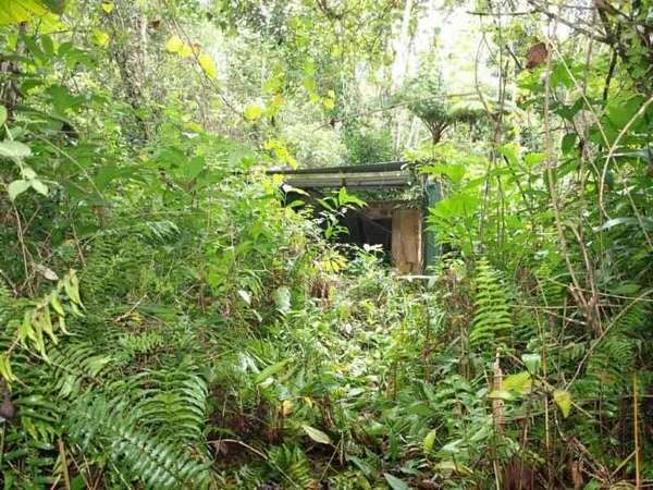 COW BAY QLD, 4873, Cow Bay - Thumbnail 5