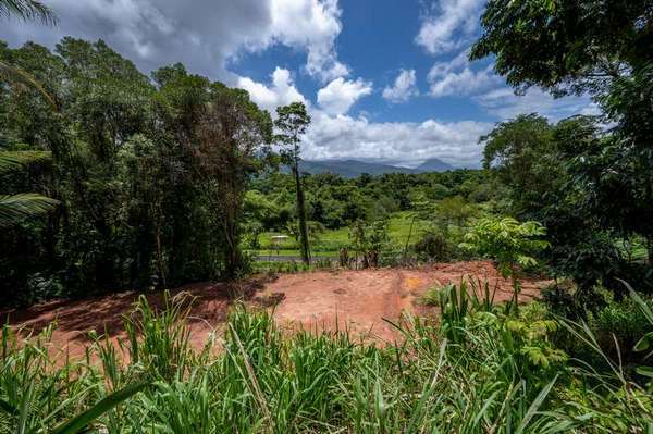 587 Barbagallo Road, Aloomba - Thumbnail 7