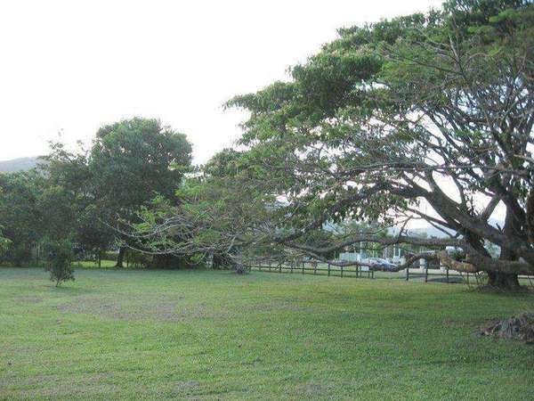WHITE ROCK QLD, 4868, White Rock - Thumbnail 6