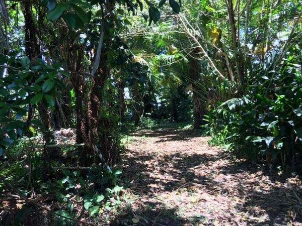 7 Clyde Road, Babinda - Thumbnail 4