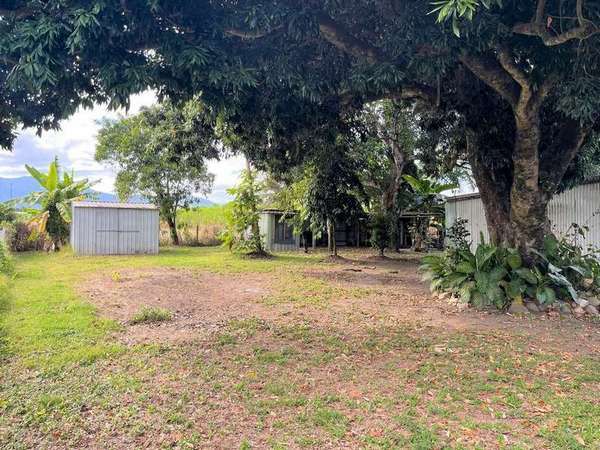 9 Digger Street, Gordonvale - Thumbnail 4