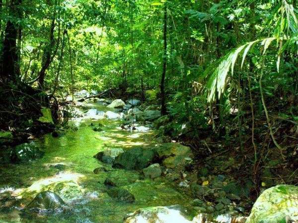 Lot 4 Brays Road, Little Mulgrave - Thumbnail 3