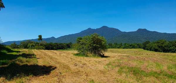 LOT 20 Barbagallo Road, Aloomba - Thumbnail 6
