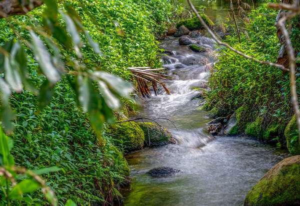 606 Boulders Road, Babinda - Thumbnail 2