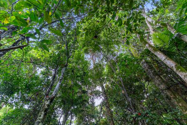 34 Parry Street, Babinda - Thumbnail 2