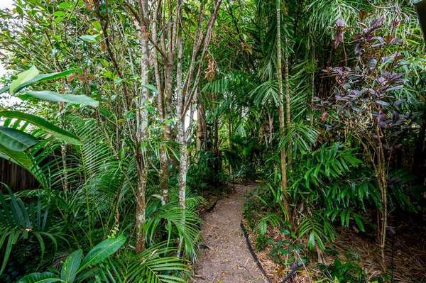 42 Fisher Road, Gordonvale - Thumbnail 3