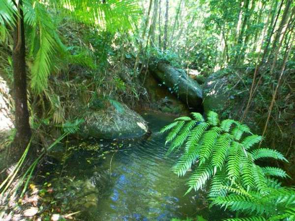 5 Sophia Close, Fishery Falls - Thumbnail 2