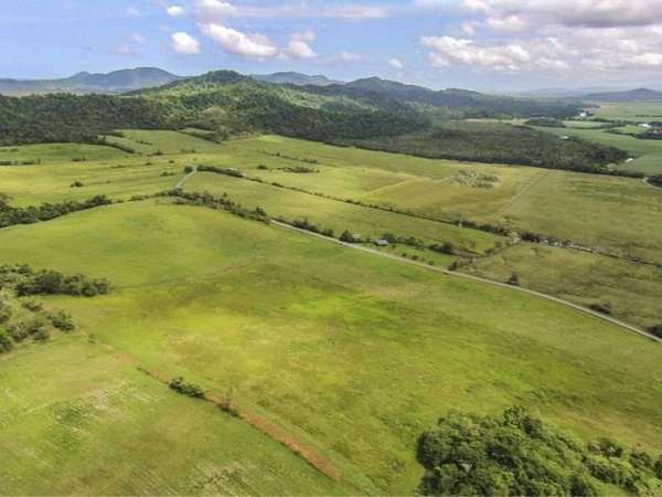 Lot 2 and Lot 3 Buttigieg Access, Babinda - Thumbnail 5
