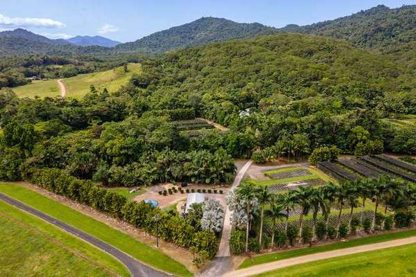 508 Dinner Creek Road, Eubenangee - Thumbnail 5
