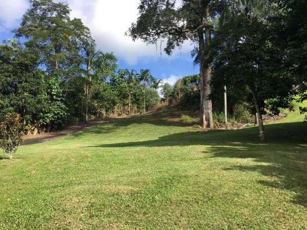 Lot 6 Parry Street, Babinda - Thumbnail 4