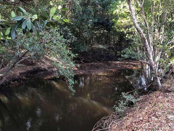 Lot 3 Pine Creek Yarrabah Road, Green Hill - Thumbnail 8