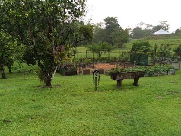 16 Moretto Street, Babinda - Thumbnail 3