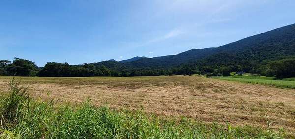 LOT 20 Barbagallo Road, Aloomba - Thumbnail 4