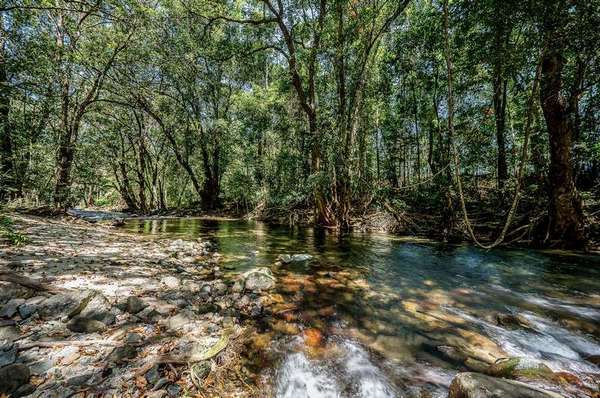 576 Papacek Access, Little Mulgrave - Thumbnail 4