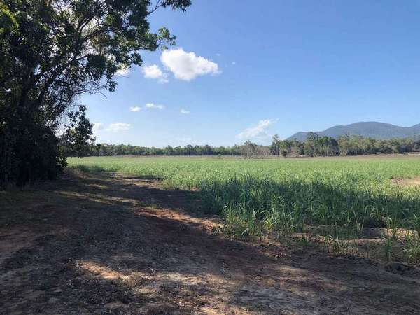 Lot 3 Pine Creek Yarrabah Road, Green Hill - Thumbnail 7