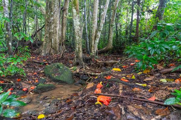 34 Parry Street, Babinda - Thumbnail 3