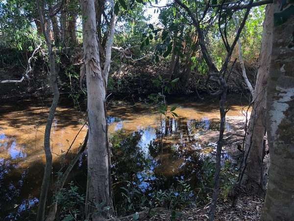 Lot 3 Pine Creek Yarrabah Road, Green Hill - Thumbnail 3