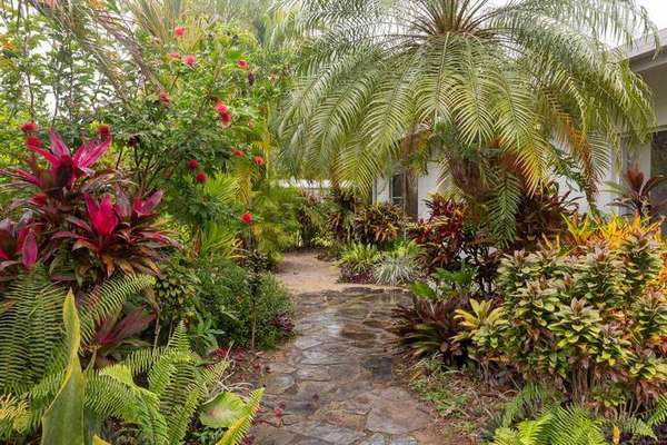 25 Sassafras Street, Bramston Beach - Thumbnail 2