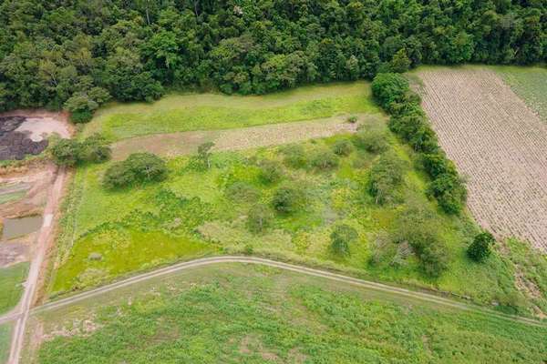 Lot 61 Gillies Range Road, Little Mulgrave - Thumbnail 3
