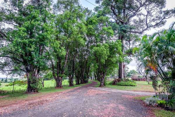 118 Ducrot Road, Upper Daradgee - Thumbnail 5