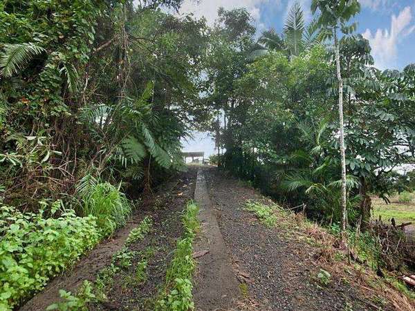 22 Josephine Falls, 22 Menzies Rd, Mirriwinni - Thumbnail 7