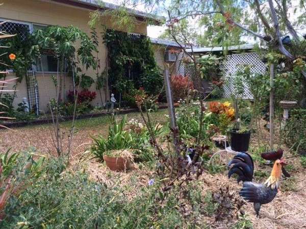 7 Mendelsohn Close, Gordonvale - Thumbnail 4
