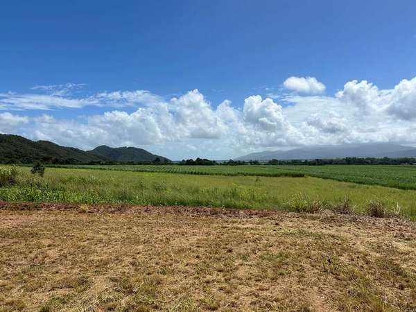 28 Sarah Close, Gordonvale - Thumbnail 4