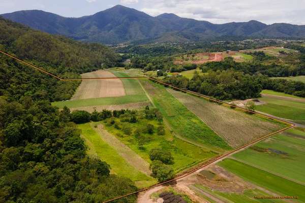 Lot 61 Gillies Range Road, Little Mulgrave - Thumbnail 8