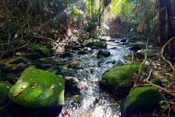 LOT 20 Barbagallo Road, Aloomba - Thumbnail 2