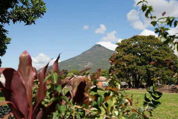9 Digger Street, Gordonvale - Thumbnail 2