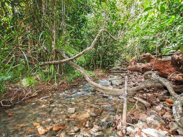 Lot 3 Buttigieg Access, Babinda - Thumbnail 2
