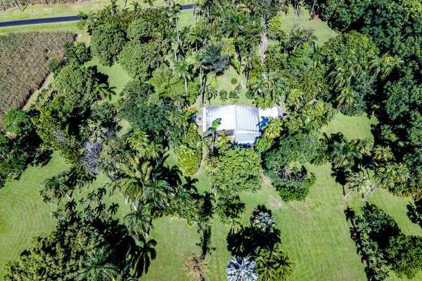 35 Munro Road, Bellenden Ker - Thumbnail 7