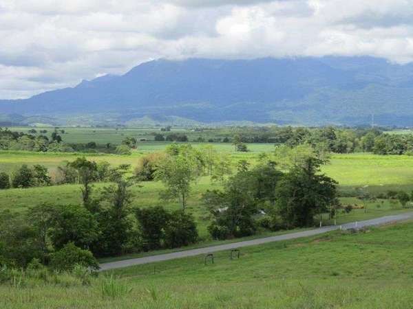 Lot 3 Buttigieg Access, Babinda - Thumbnail 7