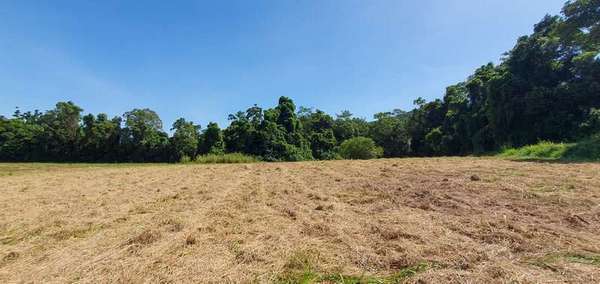 LOT 20 Barbagallo Road, Aloomba - Thumbnail 5