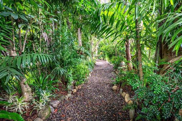 262-264 Dempsey Street, Gordonvale - Thumbnail 3