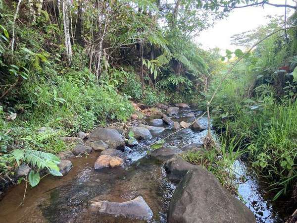 37-39 East Evelyn Road, Millaa Millaa - Thumbnail 2