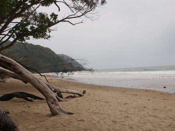 COW BAY QLD, 4873, Cow Bay - Thumbnail 7