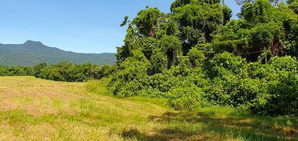 LOT 20 Barbagallo Road, Aloomba - Thumbnail 8