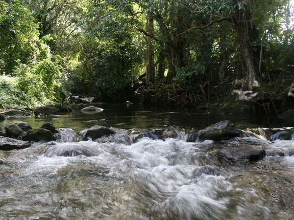 14-16 McMahon Drive, Fishery Falls - Thumbnail 2